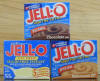 Jell-o-pudding.jpg (249945 bytes)